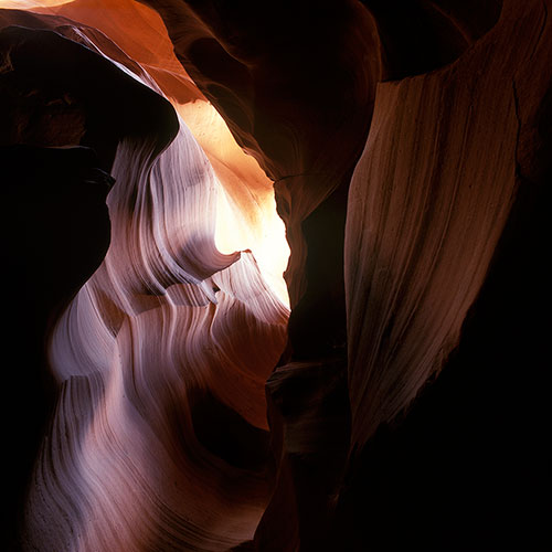 upper antelope