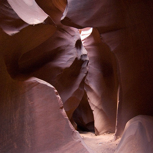 lower antelope