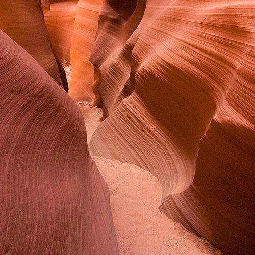 lower antelope