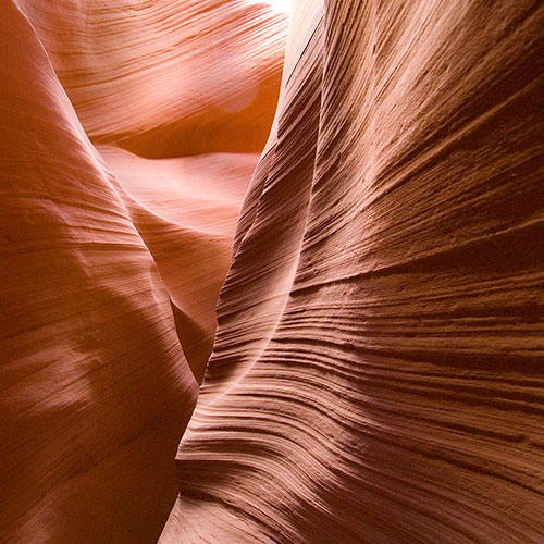 lower antelope