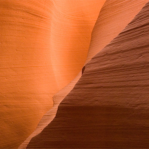 lower antelope